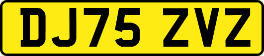 DJ75ZVZ