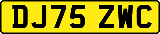 DJ75ZWC