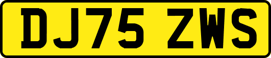 DJ75ZWS