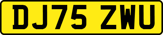 DJ75ZWU