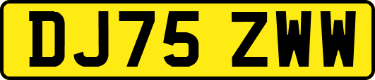 DJ75ZWW