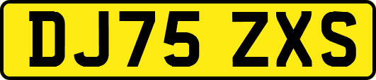 DJ75ZXS