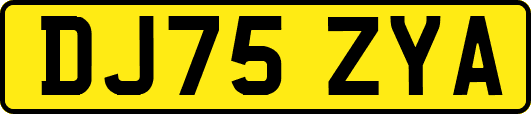 DJ75ZYA
