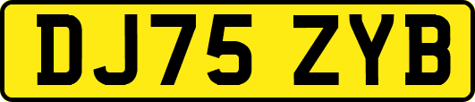 DJ75ZYB