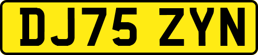 DJ75ZYN