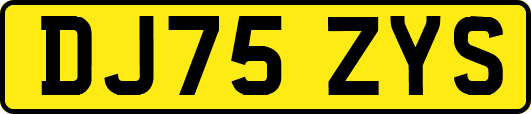 DJ75ZYS