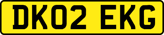 DK02EKG