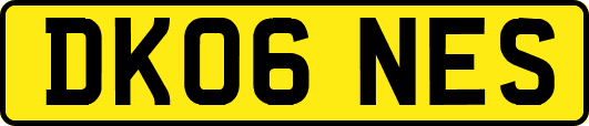DK06NES