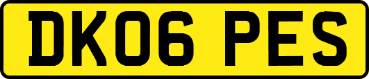 DK06PES