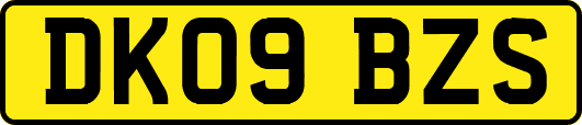 DK09BZS