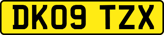 DK09TZX