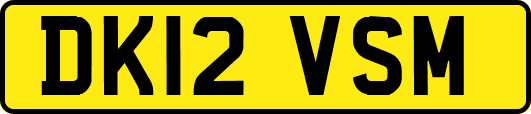DK12VSM