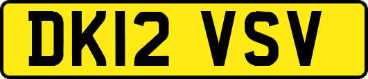 DK12VSV