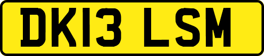 DK13LSM