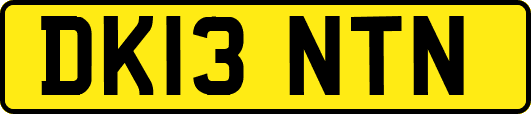 DK13NTN