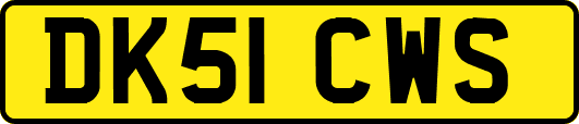 DK51CWS