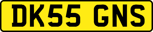 DK55GNS