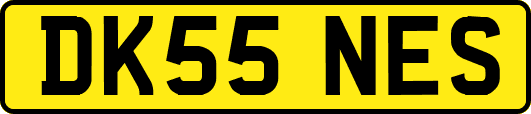DK55NES