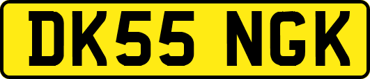DK55NGK