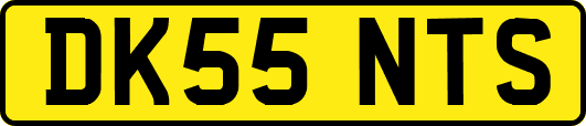 DK55NTS