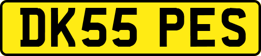 DK55PES