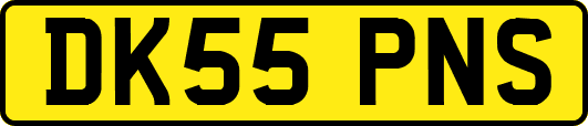 DK55PNS