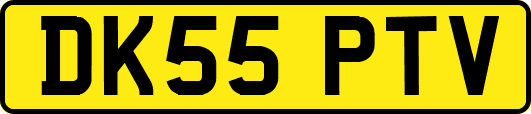 DK55PTV