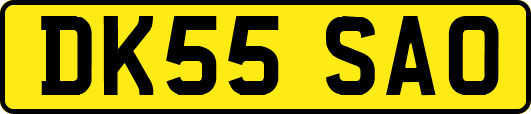 DK55SAO