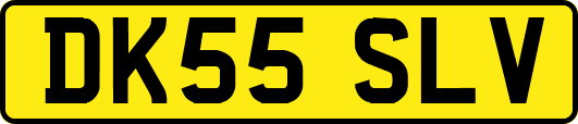 DK55SLV