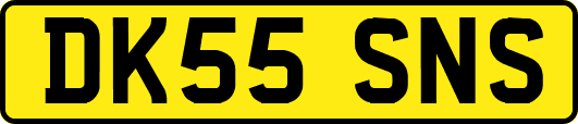 DK55SNS