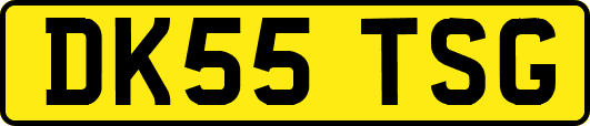 DK55TSG