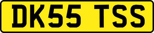 DK55TSS