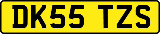 DK55TZS