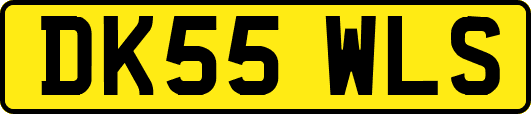 DK55WLS