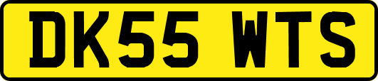 DK55WTS