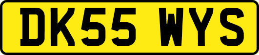 DK55WYS