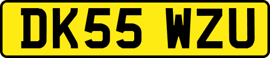 DK55WZU