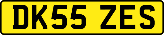 DK55ZES