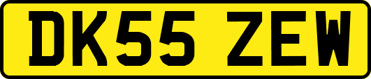 DK55ZEW
