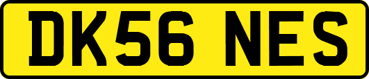 DK56NES