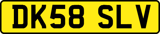 DK58SLV