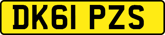 DK61PZS