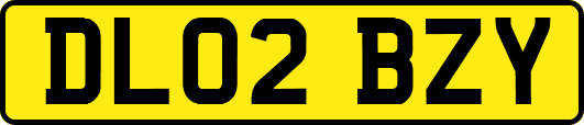 DL02BZY