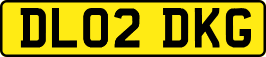 DL02DKG