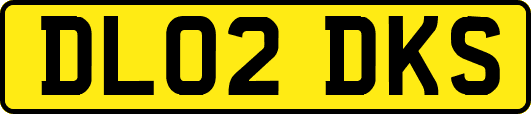 DL02DKS