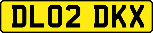 DL02DKX