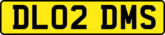 DL02DMS