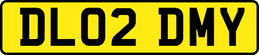 DL02DMY