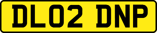 DL02DNP