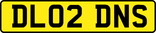 DL02DNS